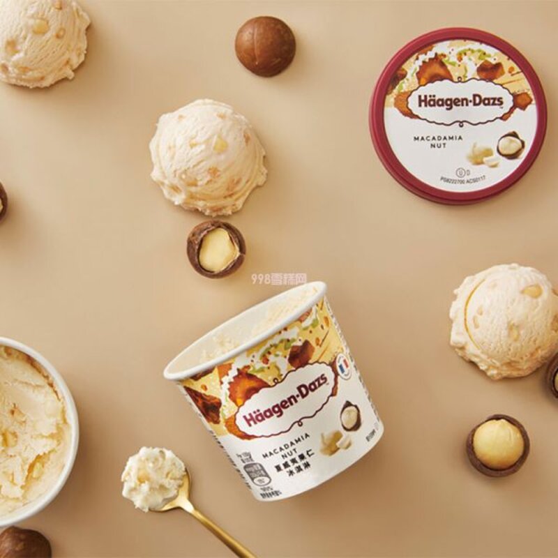 哈根达斯夏威夷果仁小杯 81g  24杯