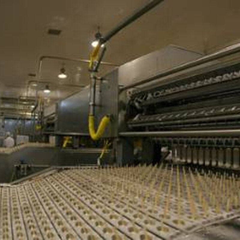 冰淇淋工厂大探秘：“雪人”的“脸”是怎么做出来的？(10)