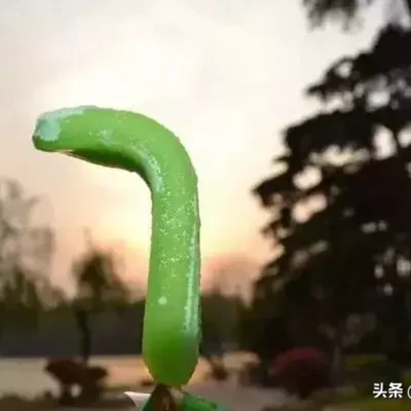 深圳人几乎都吃过！用5毛唤起你的童年回忆(14)