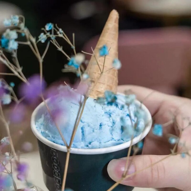 春天第一支冰淇淋，你吃的啥？(16)