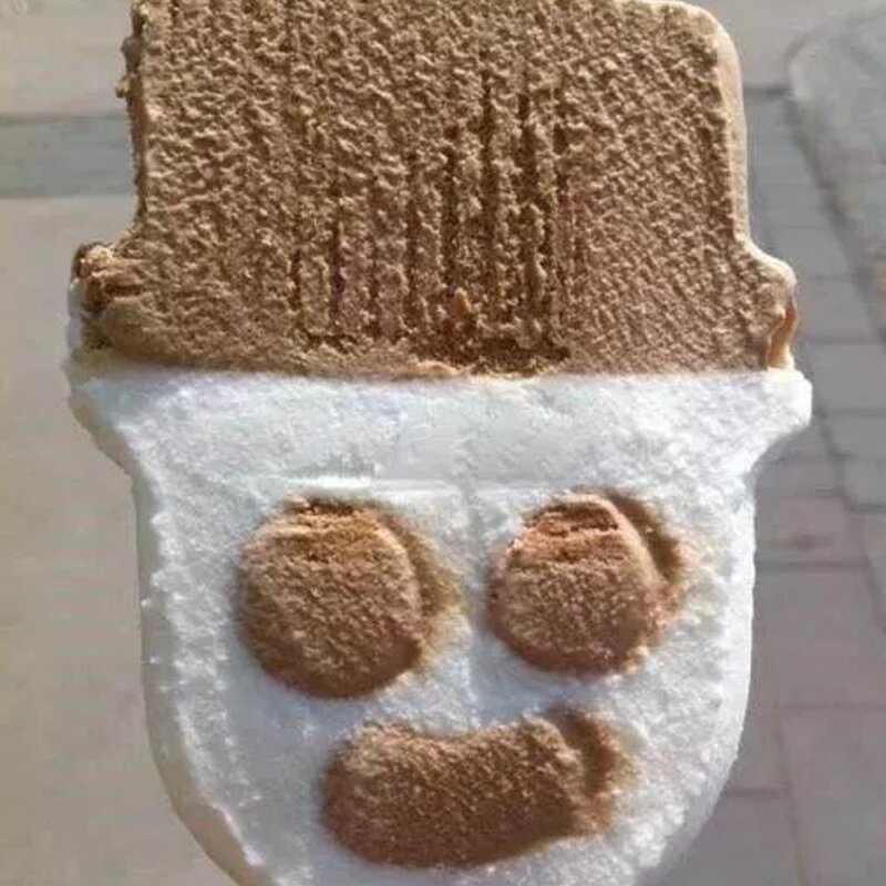 30款经典雪糕介绍（80%以上广州人都吃过）(23)