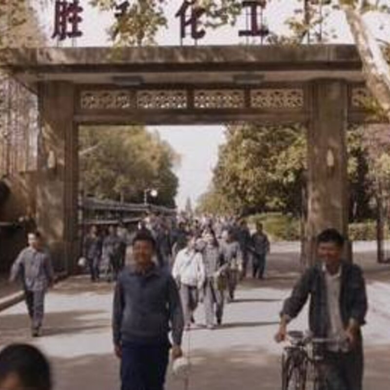 中国最硬核雪糕（504雪糕核工厂生产的）(5)