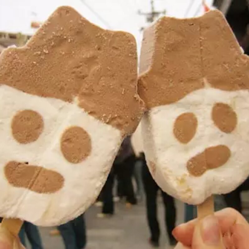 小时候的雪糕有哪些（8090小时候最爱吃的14款雪糕）(9)