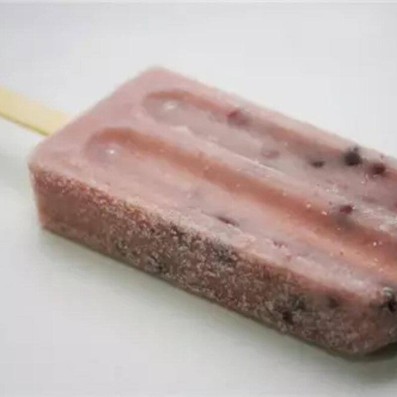 小时候的雪糕有哪些（8090小时候最爱吃的14款雪糕）(12)