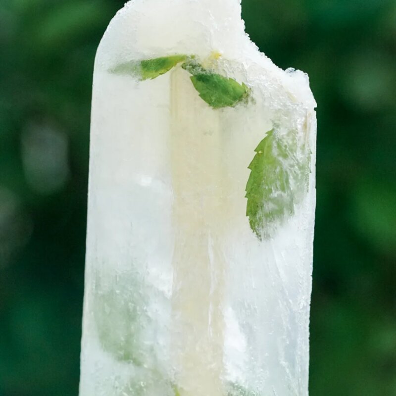 自制棒冰怎么做（简单且颜值高的棒冰教程）(12)