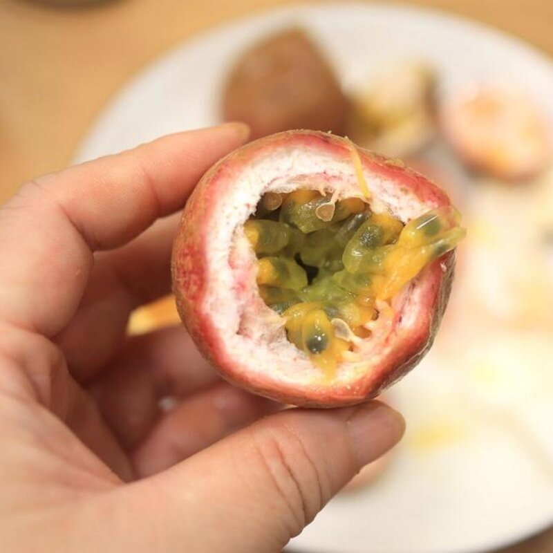 0添加果蔬冰棍怎么做（酸甜清爽低脂解渴去暑花钱还很少）(7)