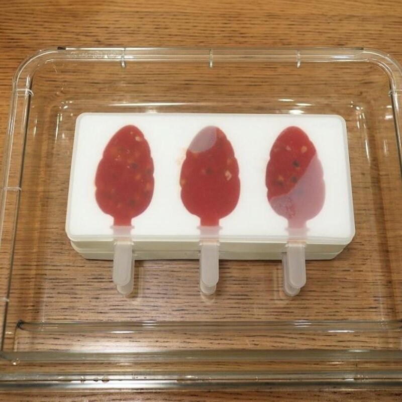 0添加果蔬冰棍怎么做（酸甜清爽低脂解渴去暑花钱还很少）(10)