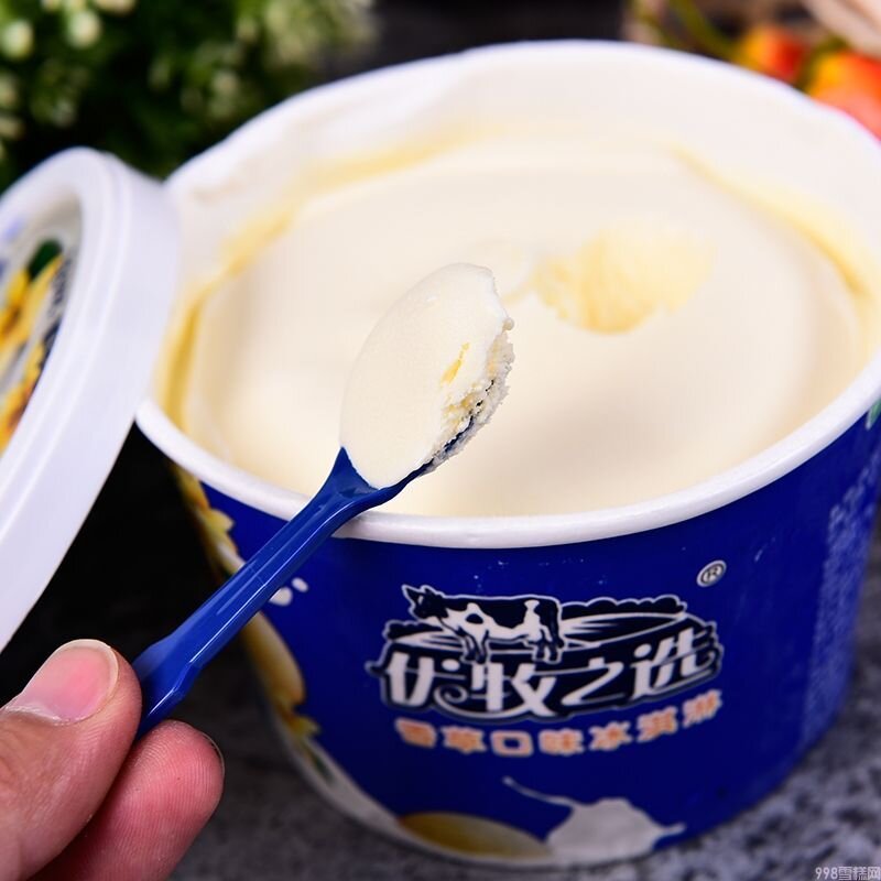 蒙牛雪糕有多少品种（蒙牛雪糕种类大全）(5)