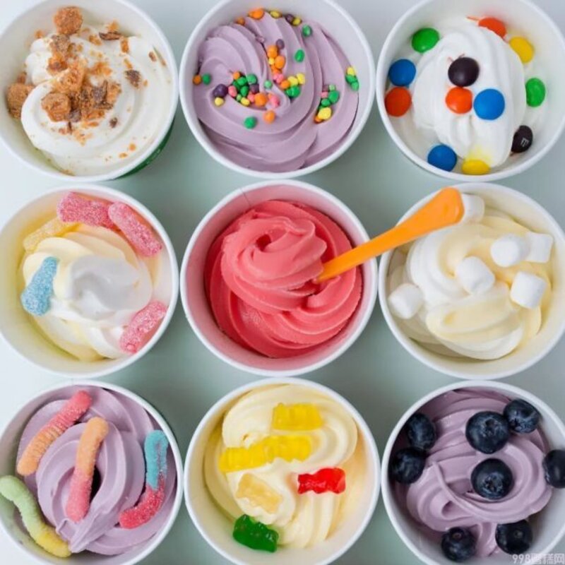 冰激凌不只是香草味和巧克力味的区别(常见的12大类冰淇淋介绍）(10)