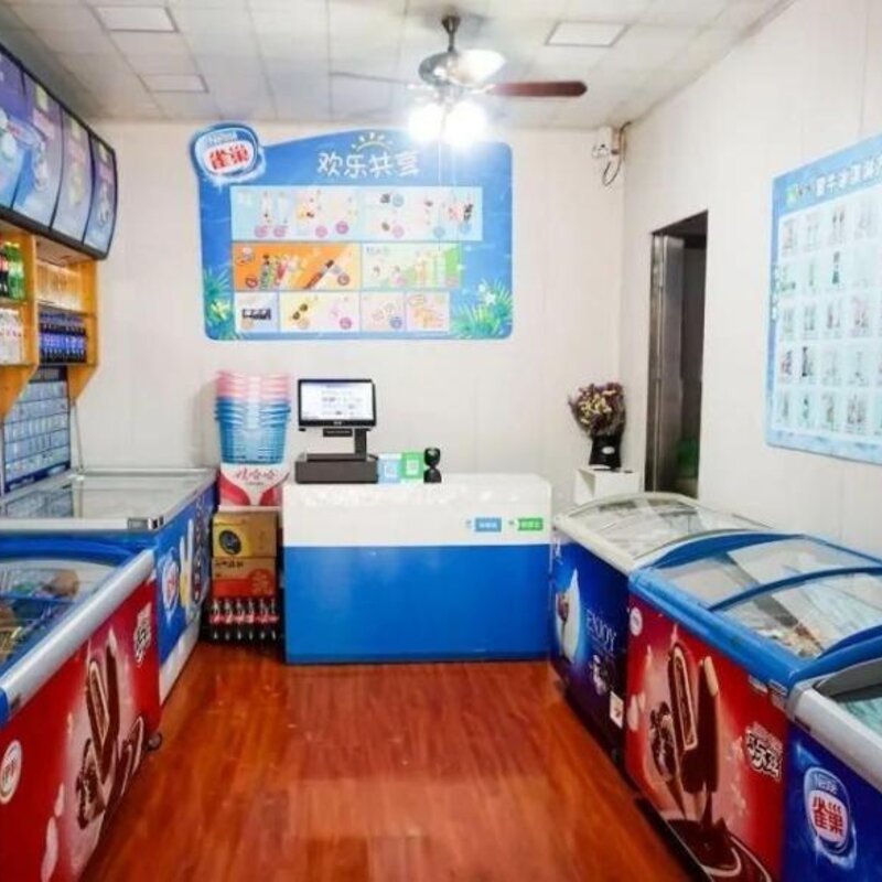 雪糕批发加盟代理挣钱吗（解析家批店是否挣钱）(1)