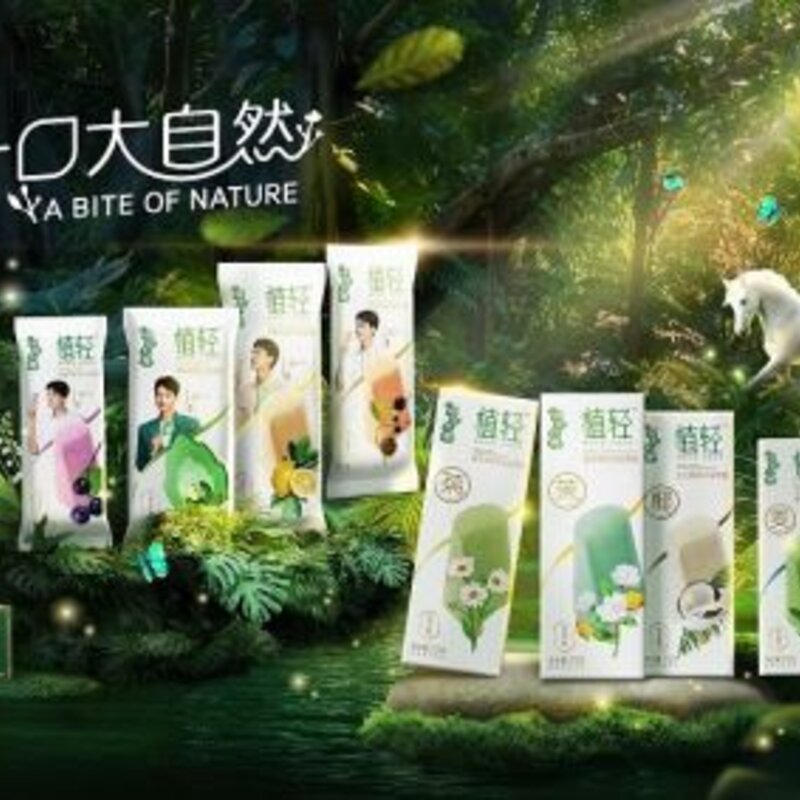 蒙牛有什么冰淇淋（多元化满足市场冰淇淋需求）(2)