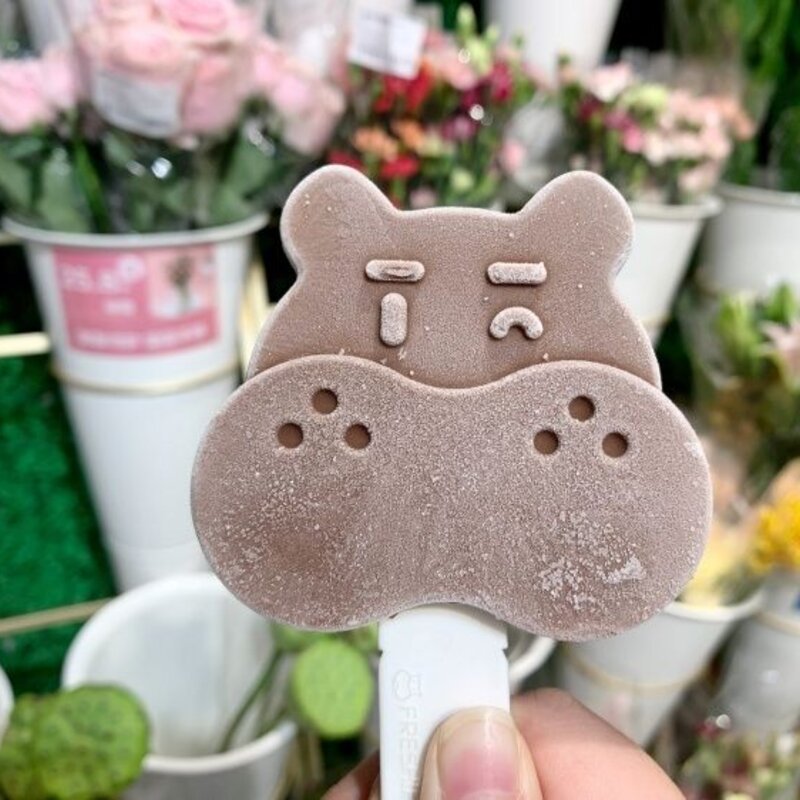 网上哪里买雪糕便宜（盒马推出自研平价老棒冰）(3)