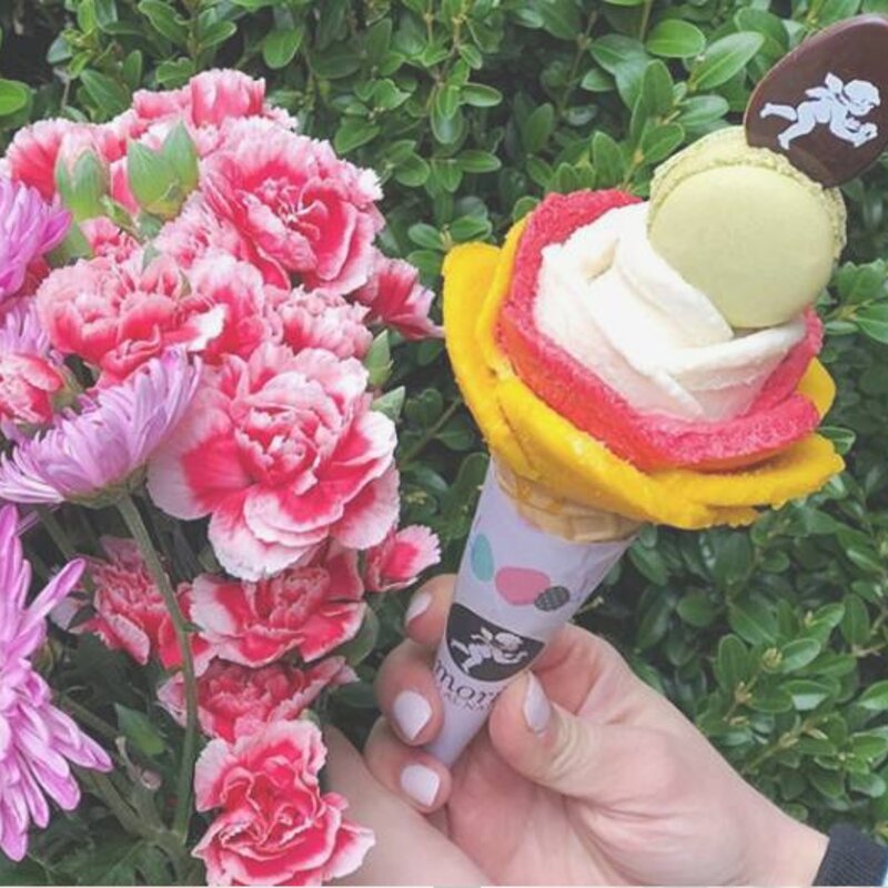 打卡洛杉矶网红冰淇淋（小天使冰淇淋Amorino Gelato）(1)