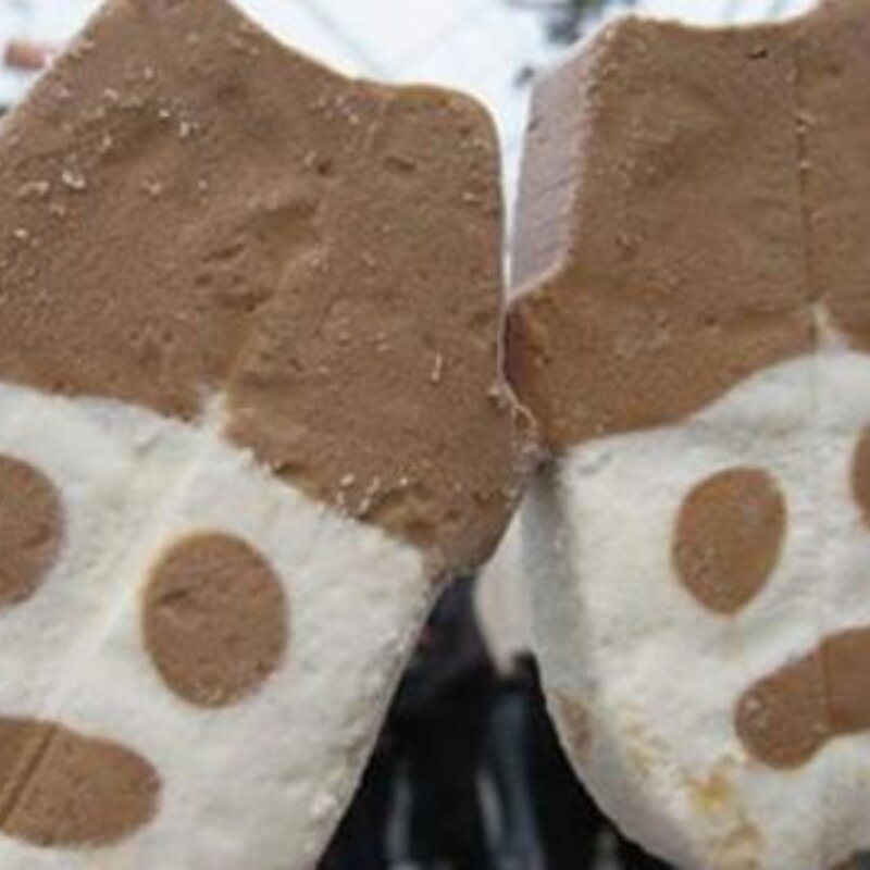 盘点上小学经常卖断货的雪糕（吃过最后一种家里指定有矿）(2)