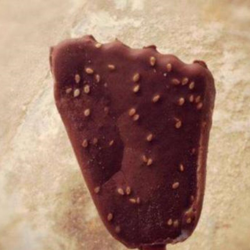 盘点上小学经常卖断货的雪糕（吃过最后一种家里指定有矿）(4)