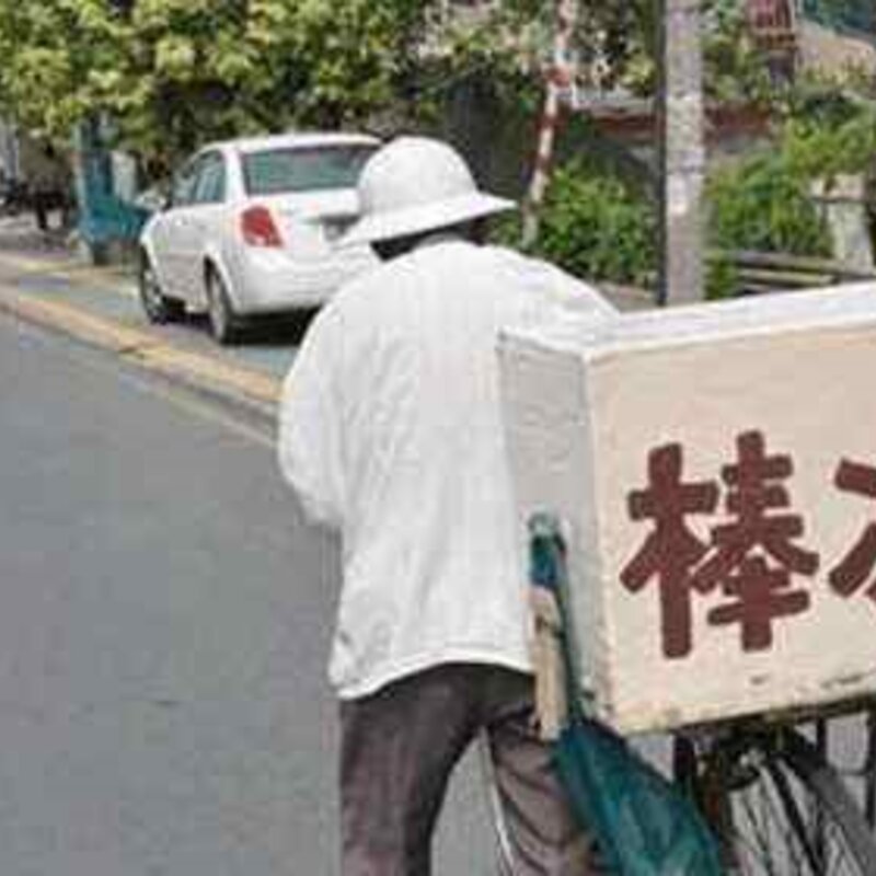 5种经典的国产雪糕介绍（全吃过的基本都是爷爷辈了）(1)