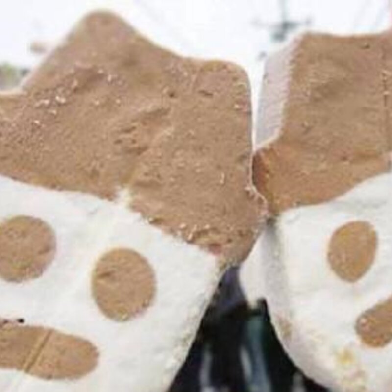 5种经典的国产雪糕介绍（全吃过的基本都是爷爷辈了）(2)