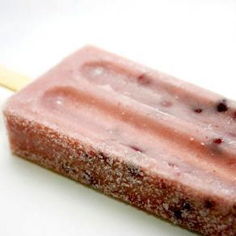 5种经典的国产雪糕介绍（全吃过的基本都是爷爷辈了）(9)