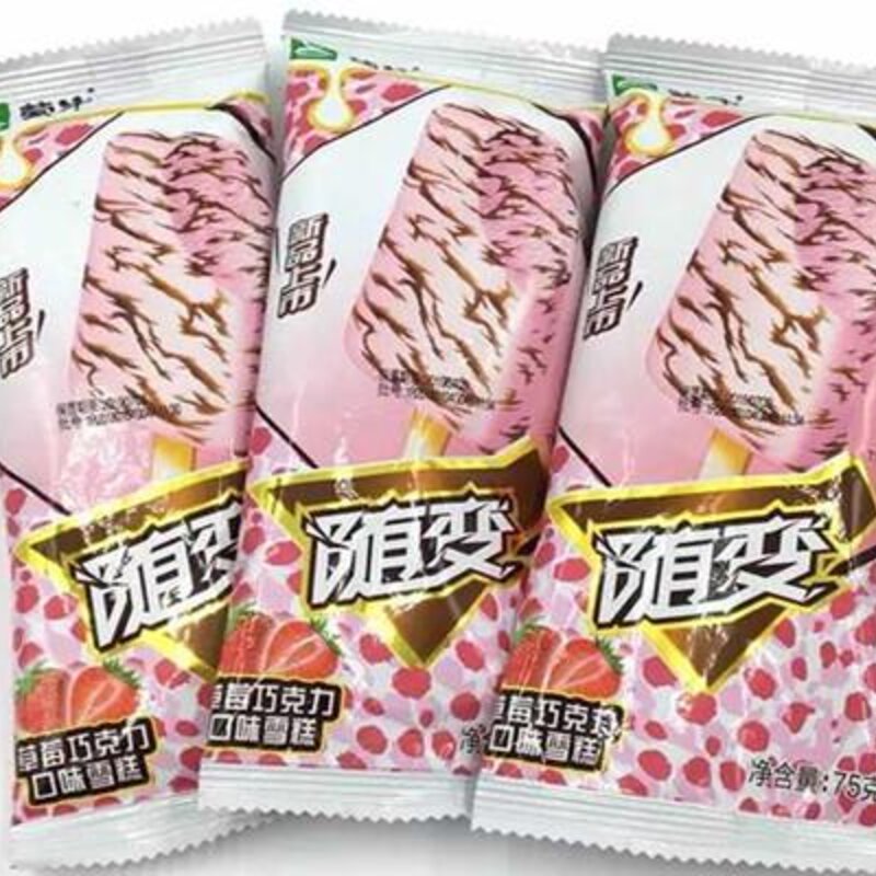 批发雪糕一月能挣多少（解析雪糕批发哪几个品牌受欢迎）(2)