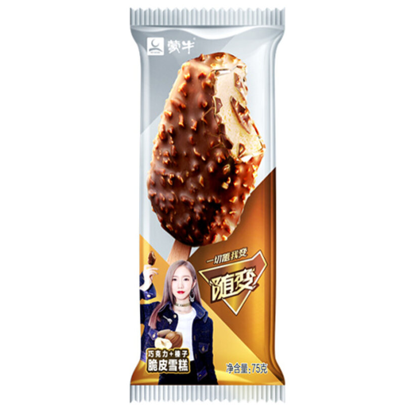 什么样的人适合加盟冰淇淋店（解析是不是所有人都适合冰淇淋店加盟）(1)