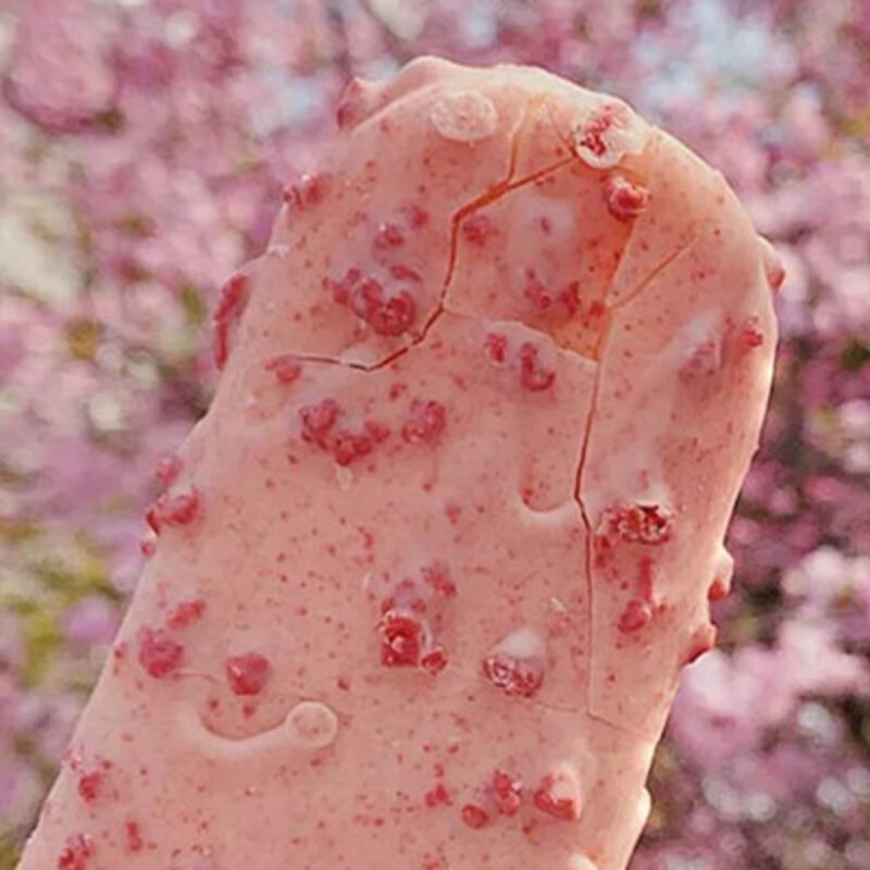 双黄蛋雪糕多少钱（解析双黄蛋雪糕好吃吗）(2)