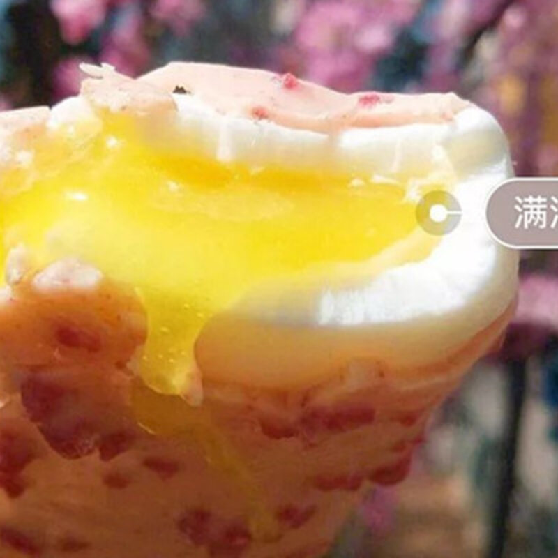 双黄蛋雪糕多少钱（解析双黄蛋雪糕好吃吗）(4)
