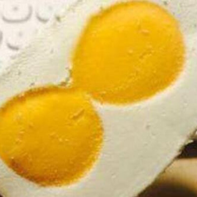 雪糕有哪些品牌（国内好吃的雪糕排行榜）(3)