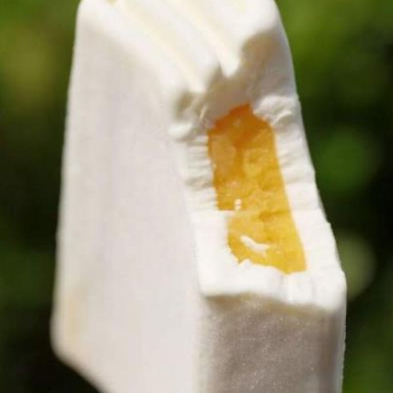 雪糕有哪些品牌（国内好吃的雪糕排行榜）(8)