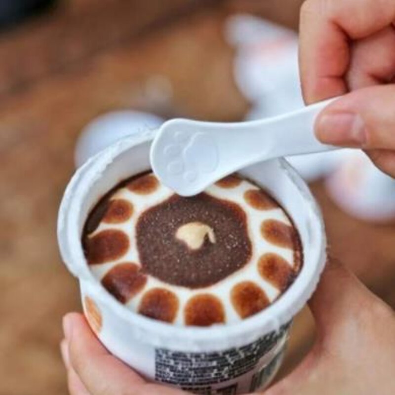 雪糕有哪些品牌（国内好吃的雪糕排行榜）(10)