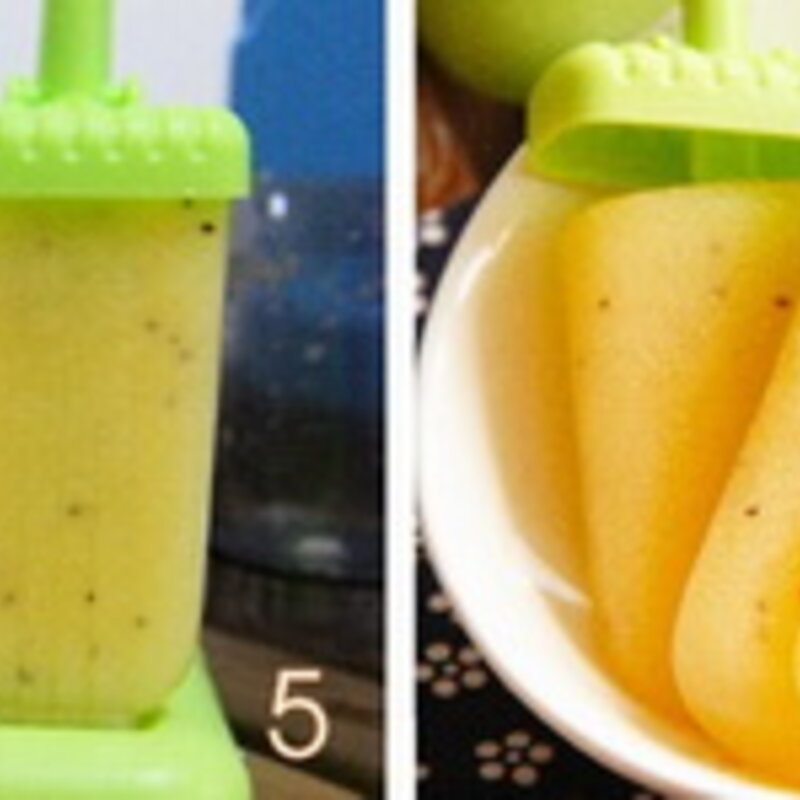 橙子冰棒怎么做好吃（分享金果香橙冰棒的做法）(4)