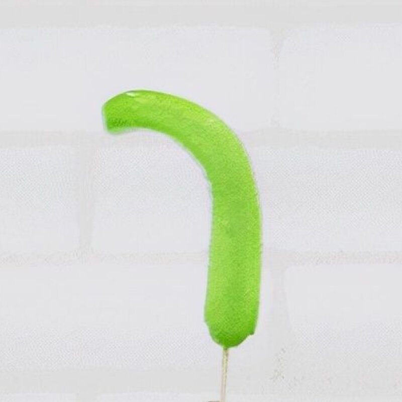 冰棍怎么做（童年冰棍大合集）(14)