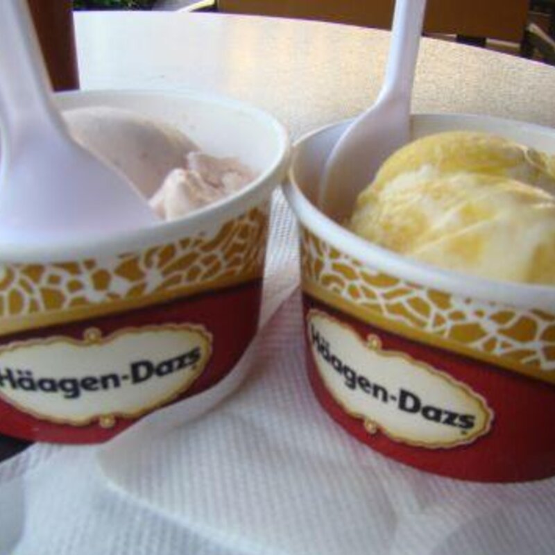 哈根达斯价格多少钱一盒（分享雪糕在国外卖多少钱）(1)