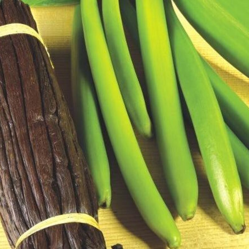 香草冰淇淋的香草是什么（解读吃了这么多香草冰激凌你知道香草是啥吗）(7)