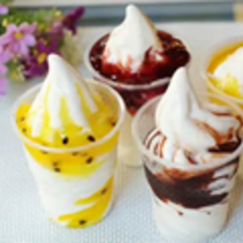 圣代冰淇淋口味有哪些（冰淇淋的种类有哪些你知道吗）(4)