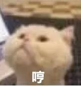 十五款神仙雪糕盘点（不买雪糕都对不起自己）(1)