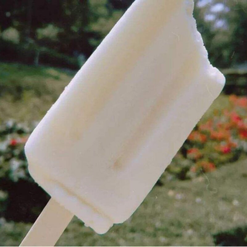 哪款雪糕最好吃（盘点最好吃的5种雪糕）(3)