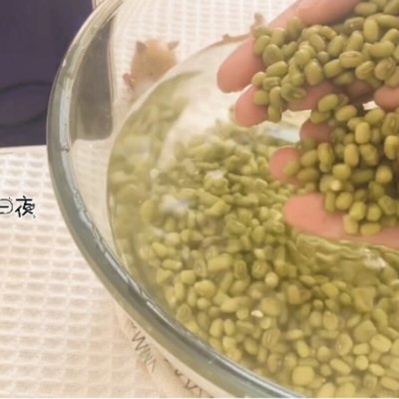 绿豆沙雪糕的做法（介绍绿豆雪糕这样做才好吃）(1)