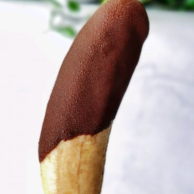 脆雪糕的做法（教你十分钟做脆皮巧克力雪糕）(13)