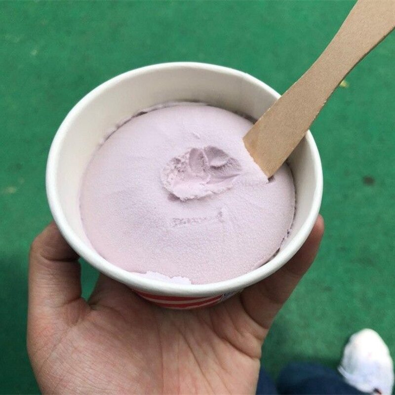 河南雪糕品牌都有哪些（讲解河南最好吃的六种雪糕）(10)