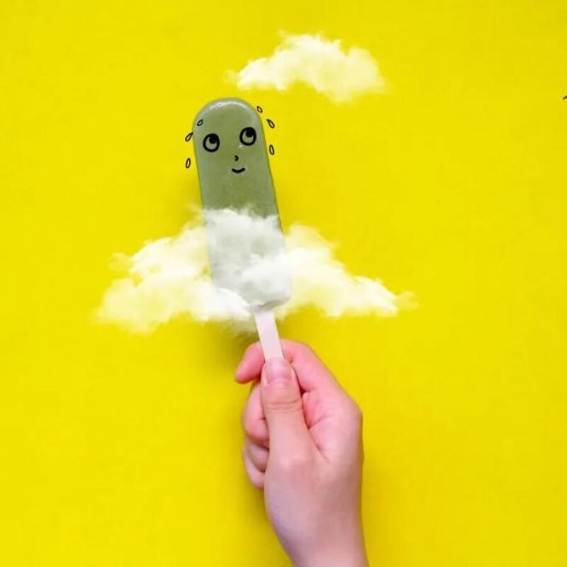 哪个雪糕更健康（揭秘花200多研究了30余款雪糕）(10)