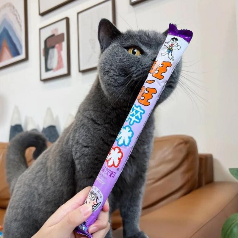 伊利牧场雪糕好吃不（10款好吃不贵的雪糕推荐）(11)