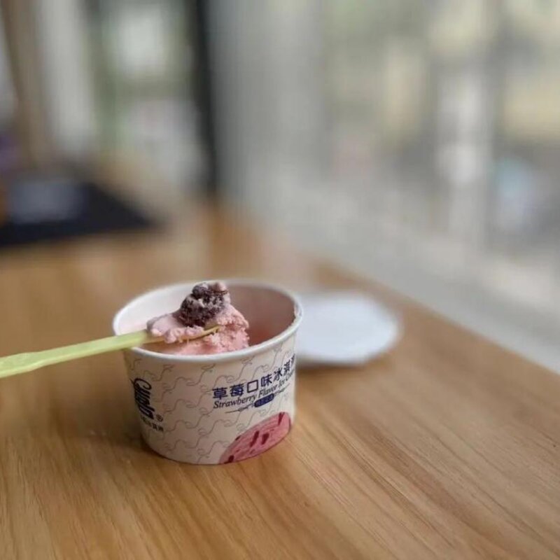 杨梅雪芭和椰椰雪糕哪个好吃（分享假期吃了20款雪糕你喜欢那个）(19)