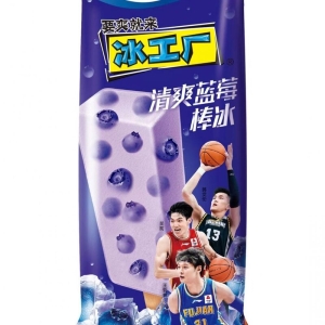伊利冰工厂清爽蓝莓雪糕冰棍棒冰夏日热销冰糕冷饮冰淇淋批发 7