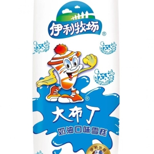 伊利 大布丁奶油口味雪糕冰淇淋冰激凌冷饮 55g 40支