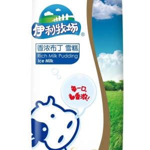 伊利牧场香浓布丁雪糕精品牛奶味丝滑冰淇淋冷饮入口即化批发 8
