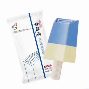 钟薛高海盐椰椰（海盐椰子口味)雪糕  20支