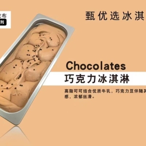 甄优选牛乳餐饮大桶装冰淇淋巧克力冰淇淋 4KG