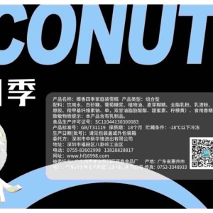 <strong>艾丽雪椰香四季餐饮冰淇淋3.0kg 6L</strong>