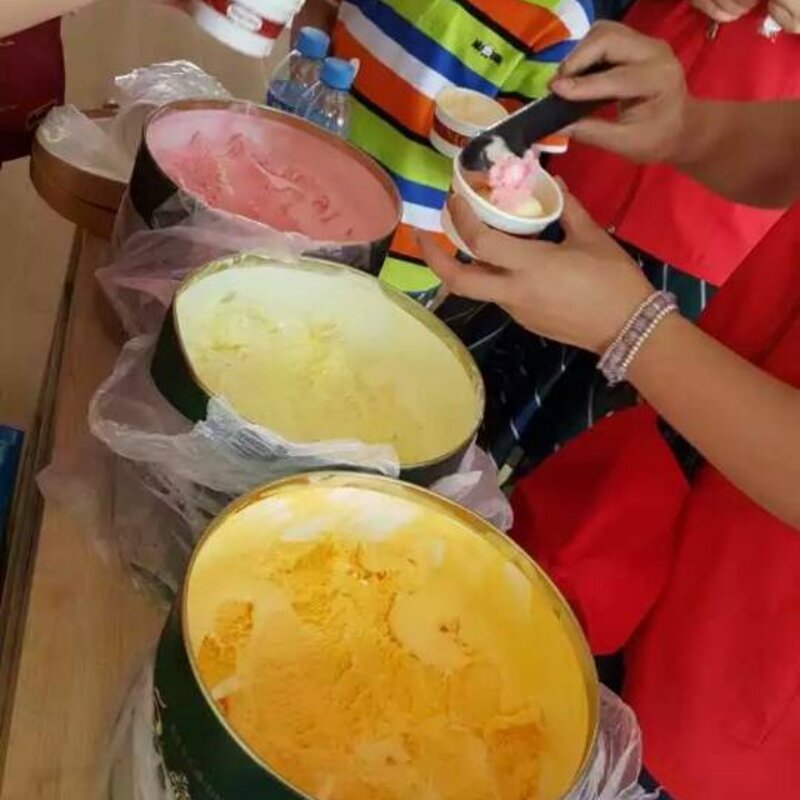 998雪糕网为深圳天天康复中心义捐(2)