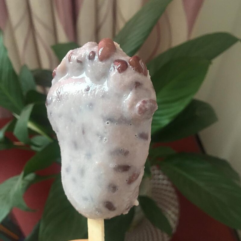 一瓶牛奶，一碗红豆，教你们做出美味鲜奶红豆冰棒(11)